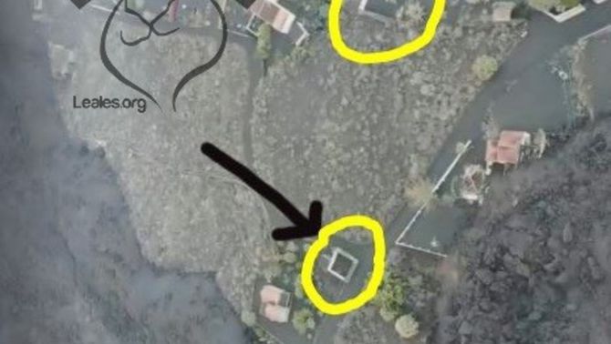 Resgate cães La Palma